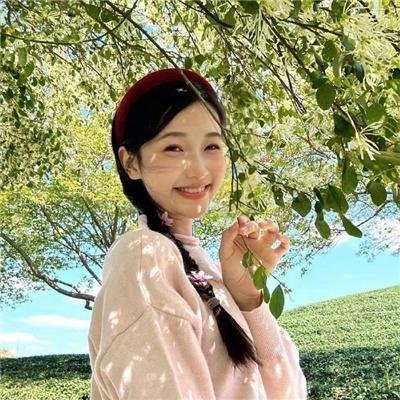 儿女英雄封面